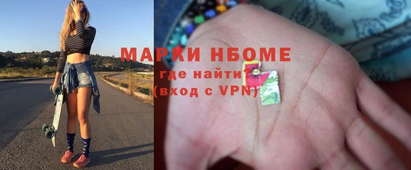 индика Аркадак