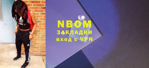 индика Аркадак