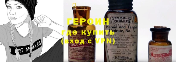индика Аркадак