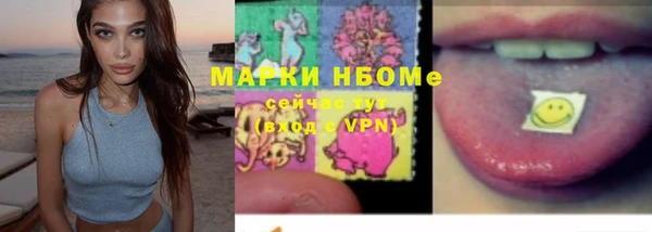индика Аркадак