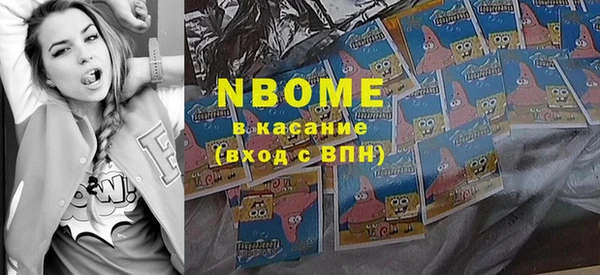 индика Аркадак