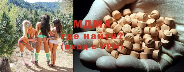 индика Аркадак