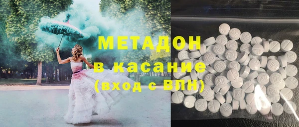 индика Аркадак