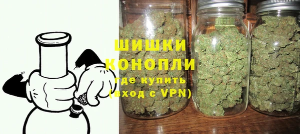 индика Аркадак