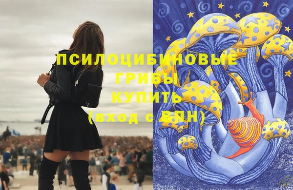 мет Армянск