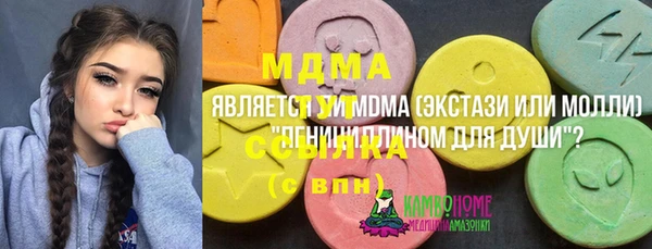 индика Аркадак