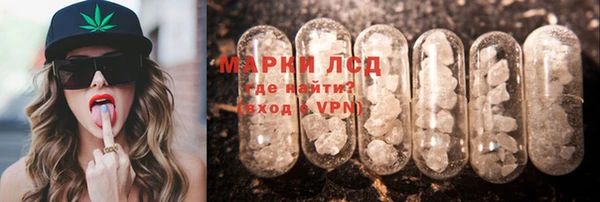 индика Аркадак